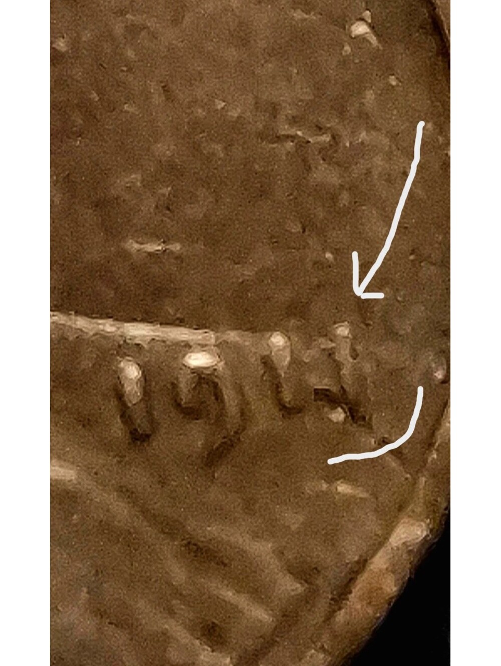1911 Wheat Penny Mint Error #9